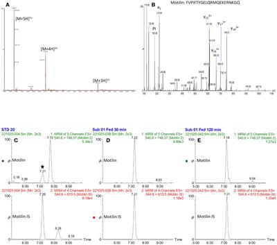 Motilin fluctuations in healthy volunteers determined by liquid chromatography mass spectrometry